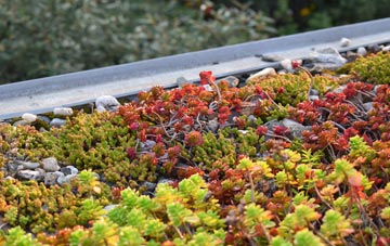 the cost of Nene Terrace green roof installation