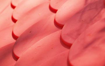 Nene Terrace plastic roof costs