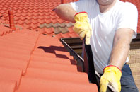 Nene Terrace roof cleaners