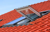 Nene Terrace roof window